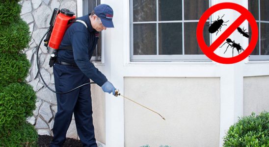 Pervari Fare İlaçlama böcek ilaçlama ve haşere kontrolü — ilaclama-tr.com